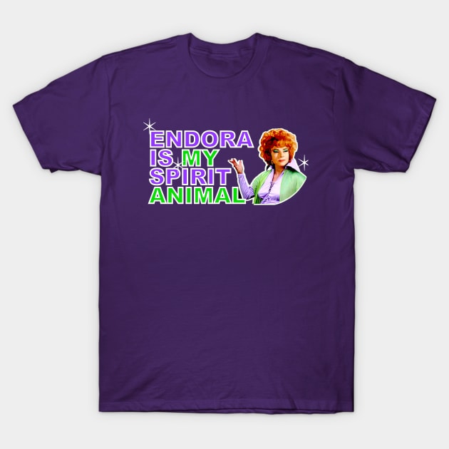 My Mother-in-law is a Witch T-Shirt by Show OFF Your T-shirts!™